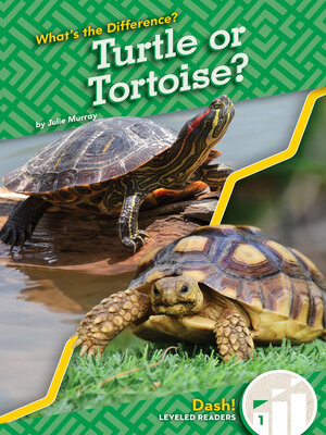 cover image of Turtle or Tortoise?
